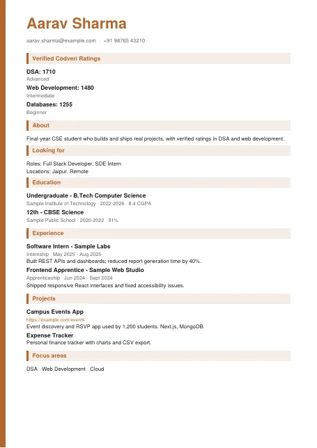 Copper résumé template preview