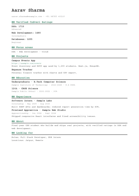 Developer (monospace) résumé template preview