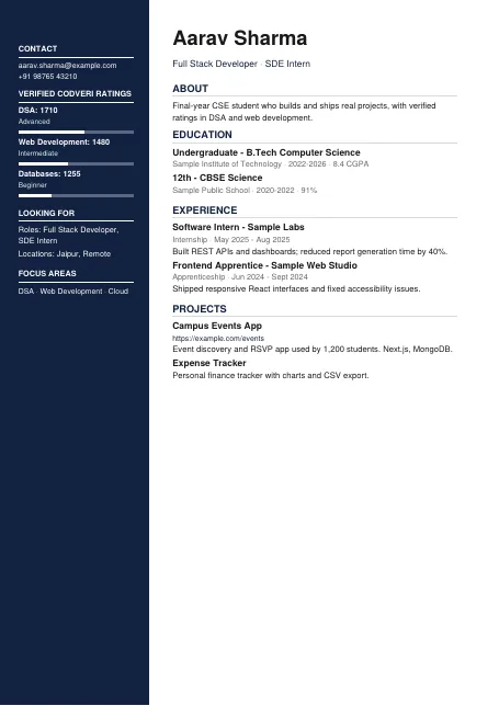 Tech Bars (rating bars) résumé template preview